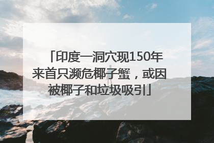 印度一洞穴现150年来首只濒危椰子蟹，或因被椰子和垃圾吸引