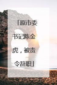 原市委书记陈金虎，被责令辞职