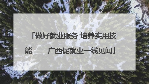 做好就业服务 培养实用技能——广西促就业一线见闻