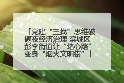 党建“三找”思维破题夜经济治理 滨城区彭李街道让“堵心路”变身“烟火文明街”