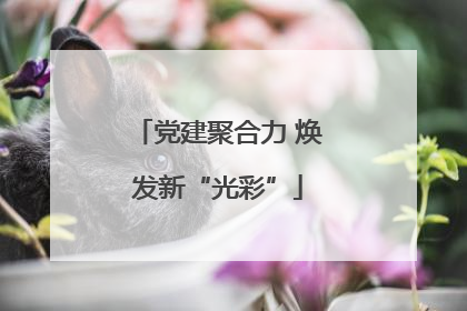 党建聚合力 焕发新“光彩”