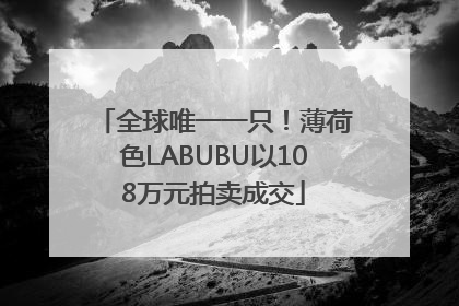 全球唯一一只！薄荷色LABUBU以108万元拍卖成交
