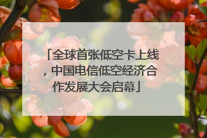 全球首张低空卡上线，中国电信低空经济合作发展大会启幕