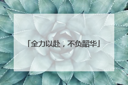全力以赴，不负韶华