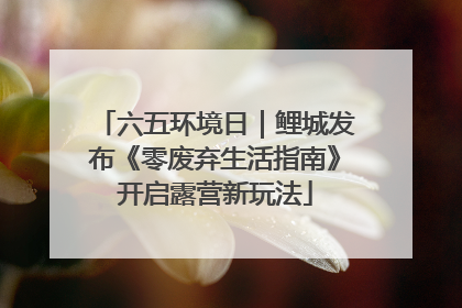 六五环境日｜鲤城发布《零废弃生活指南》开启露营新玩法