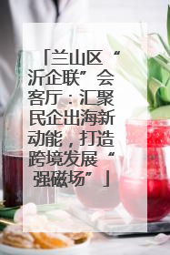 兰山区“沂企联”会客厅：汇聚民企出海新动能，打造跨境发展“强磁场”