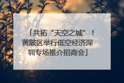 共拓“天空之城”！黄陂区举行低空经济深圳专场推介招商会