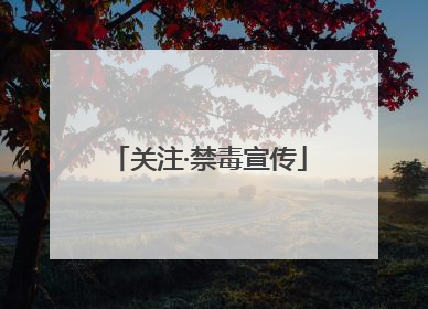 关注·禁毒宣传