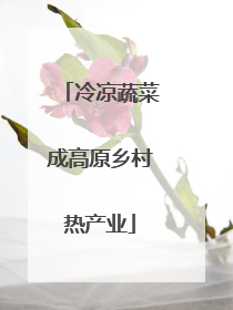 冷凉蔬菜成高原乡村热产业