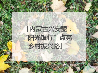 内蒙古兴安盟：“阳光银行”点亮乡村振兴路