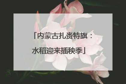 内蒙古扎赉特旗：水稻迎来插秧季