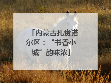 内蒙古扎赉诺尔区：“书香小城”韵味浓