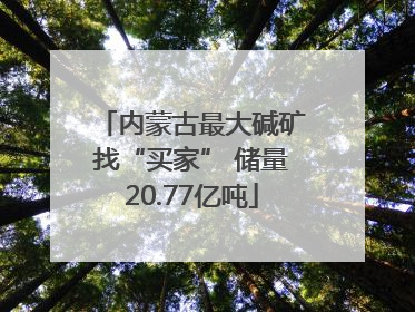 内蒙古最大碱矿找“买家” 储量20.77亿吨