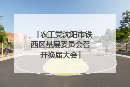 农工党沈阳市铁西区基层委员会召开换届大会