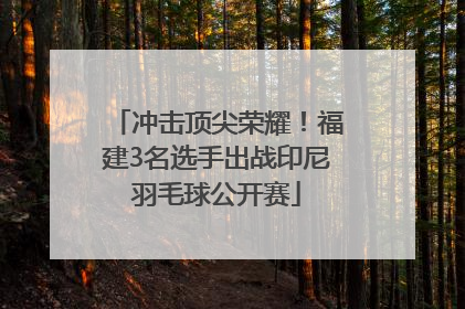 冲击顶尖荣耀！福建3名选手出战印尼羽毛球公开赛