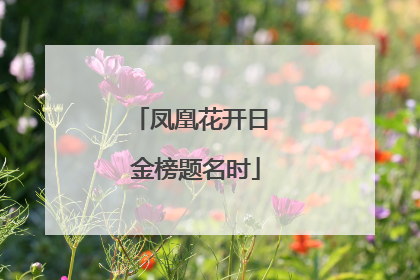 凤凰花开日 金榜题名时