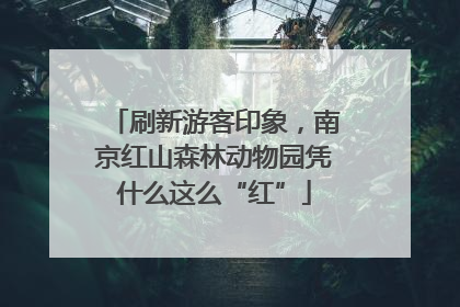 刷新游客印象，南京红山森林动物园凭什么这么“红”