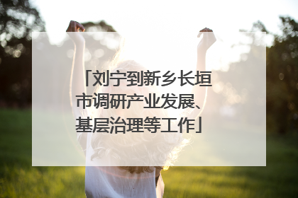 刘宁到新乡长垣市调研产业发展、基层治理等工作