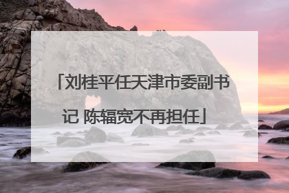 刘桂平任天津市委副书记 陈辐宽不再担任