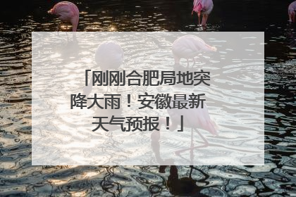 刚刚合肥局地突降大雨！安徽最新天气预报！