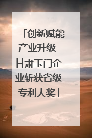创新赋能产业升级 甘肃玉门企业斩获省级专利大奖