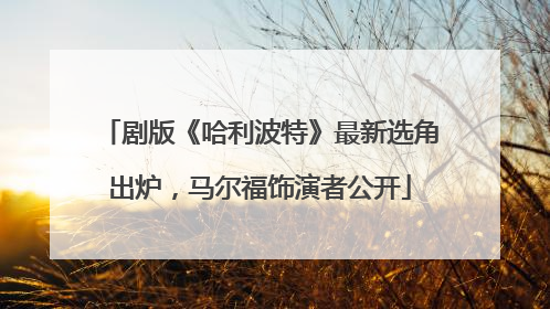 剧版《哈利波特》最新选角出炉，马尔福饰演者公开