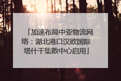 加速布局中亚物流网络：湖北港口汉欧国际塔什干集散中心启用