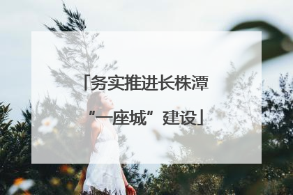 务实推进长株潭“一座城”建设