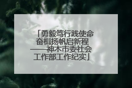 勇毅笃行践使命 奋楫扬帆启新程——神木市委社会工作部工作纪实