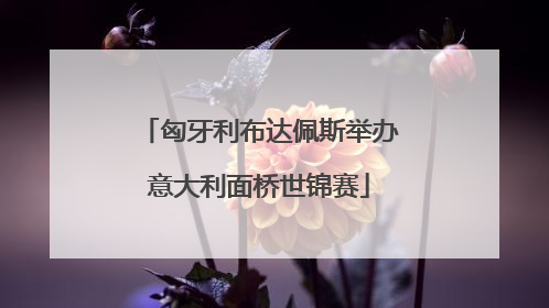 匈牙利布达佩斯举办意大利面桥世锦赛