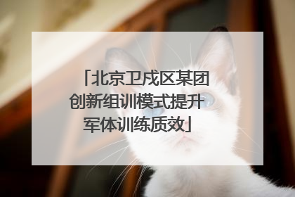 北京卫戍区某团创新组训模式提升军体训练质效