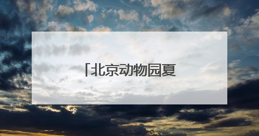 北京动物园夏日菜单丨动物食堂上新啦！