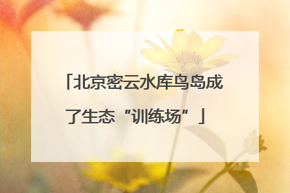 北京密云水库鸟岛成了生态“训练场”