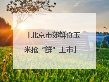 北京市郊鲜食玉米抢“鲜”上市