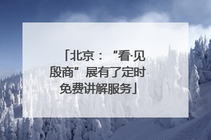 北京：“看·见殷商”展有了定时免费讲解服务