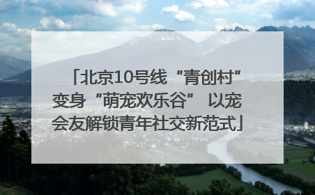 北京10号线“青创村”变身“萌宠欢乐谷” 以宠会友解锁青年社交新范式