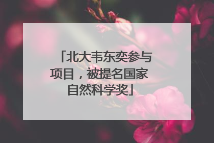 北大韦东奕参与项目，被提名国家自然科学奖