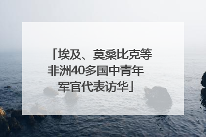 埃及、莫桑比克等非洲40多国中青年军官代表访华