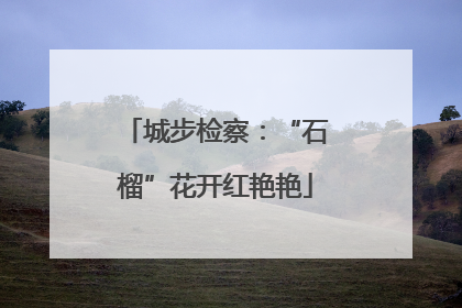 城步检察：“石榴”花开红艳艳
