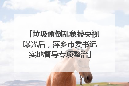 垃圾偷倒乱象被央视曝光后，萍乡市委书记实地督导专项整治