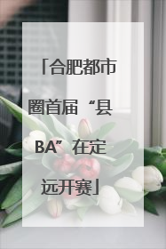 合肥都市圈首届“县BA”在定远开赛