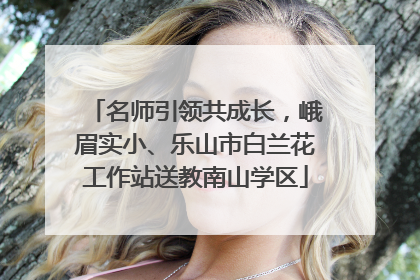 名师引领共成长，峨眉实小、乐山市白兰花工作站送教南山学区