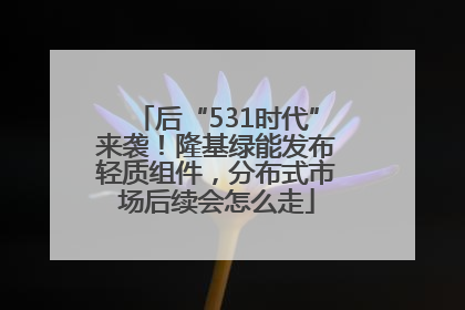 后“531时代”来袭！隆基绿能发布轻质组件，分布式市场后续会怎么走