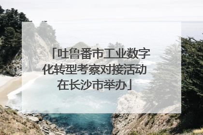 吐鲁番市工业数字化转型考察对接活动在长沙市举办