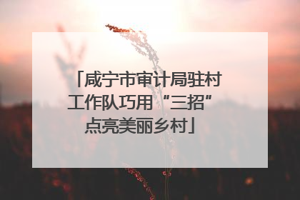 咸宁市审计局驻村工作队巧用“三招”点亮美丽乡村