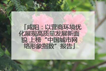 咸阳：以营商环境优化展现高质量发展新面貌 上榜“中国城市网络形象指数”报告