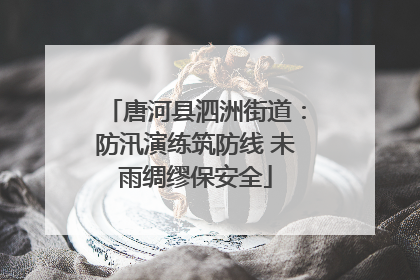 唐河县泗洲街道：防汛演练筑防线 未雨绸缪保安全