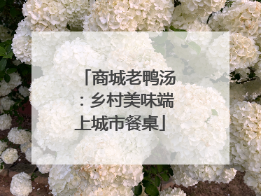 商城老鸭汤：乡村美味端上城市餐桌