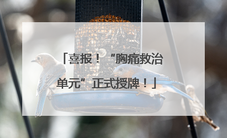 喜报！“胸痛救治单元”正式授牌！