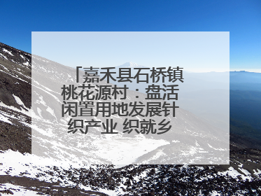 嘉禾县石桥镇桃花源村：盘活闲置用地发展针织产业 织就乡村振兴新图景